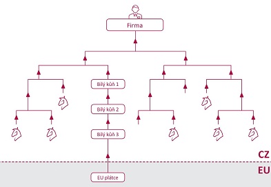 Struktura organizované skupiny provádějící karuselové podvody